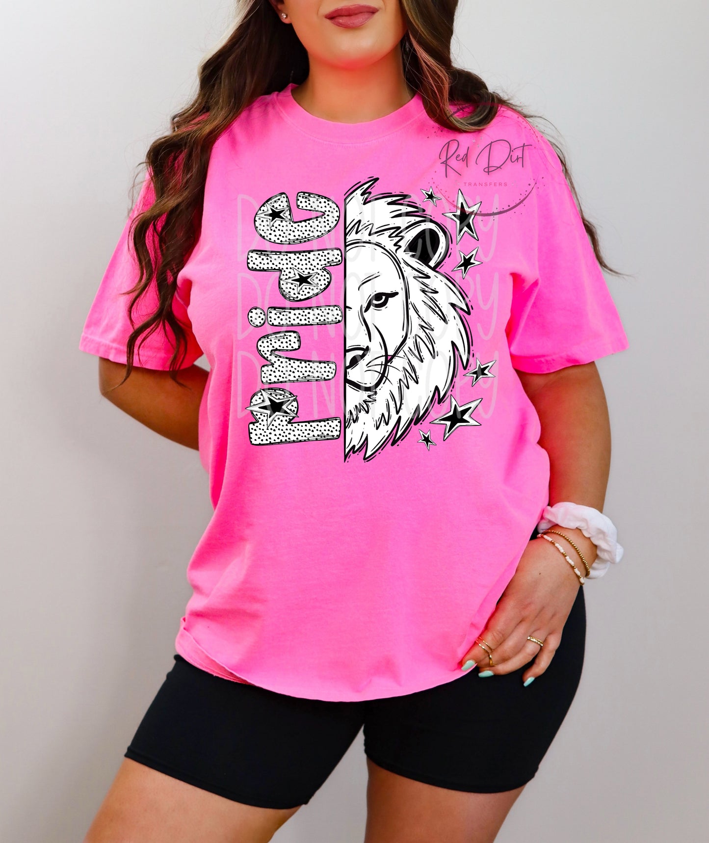 Pride DTF Transfer | Trendy School Spirit DTF Transfer | High Quality Image Transfers | Ready to Press | Instant Peel