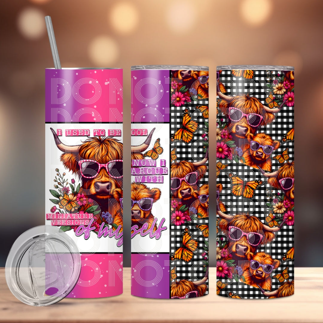 I Used to be Cool Insulated Tumbler with Plastic Lid and Sealed Reusable Straw | Trendy Mom Cup | Hot/Cold Tumbler