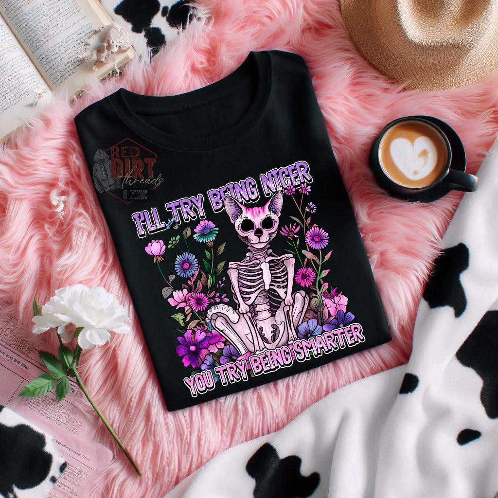 I'll Try Being Nicer You Try Being Smarter DTF Transfer | Trendy Snarky DTF Transfer | High Quality Image Transfers | Ready to Press | Fast Shipping