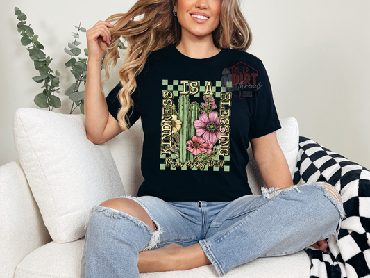 Kindness is a Blessing T-Shirt | Trendy Uplifting Shirt | Fast Shipping | Super Soft Shirts for Men/Women/Kid's