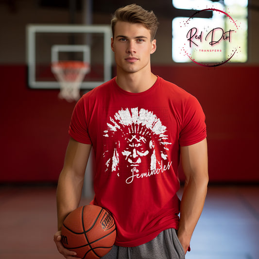 Aggressive Seminoles Mascot Shirt, Vintage Seminoles Shirt, School Spirit Tee, Game Day Shirt, Aggressive Mascot Tee